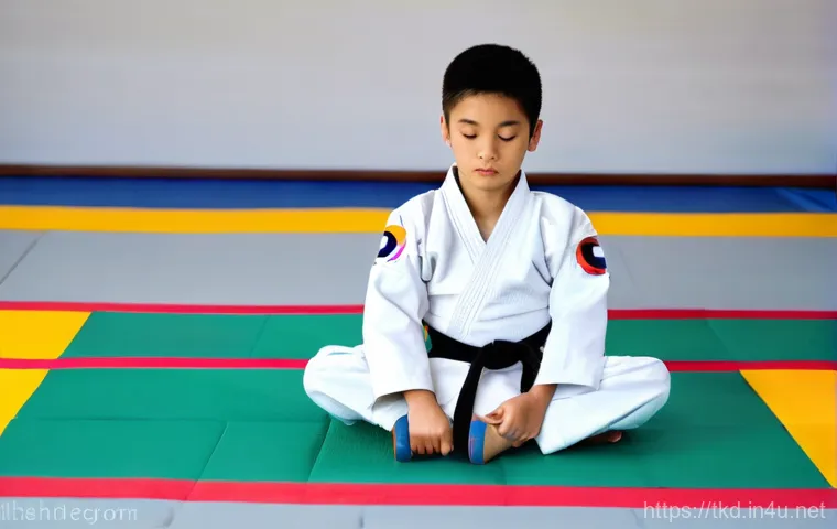 태권도 발 보호대 구매 가이드 - **Image Prompt 2: Assortment of Taekwondo Foot Protectors and Features**
    A well-lit, close-up fl...